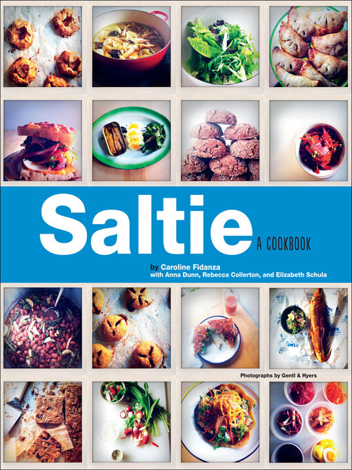Title details for Saltie by Caroline Fidanza - Available